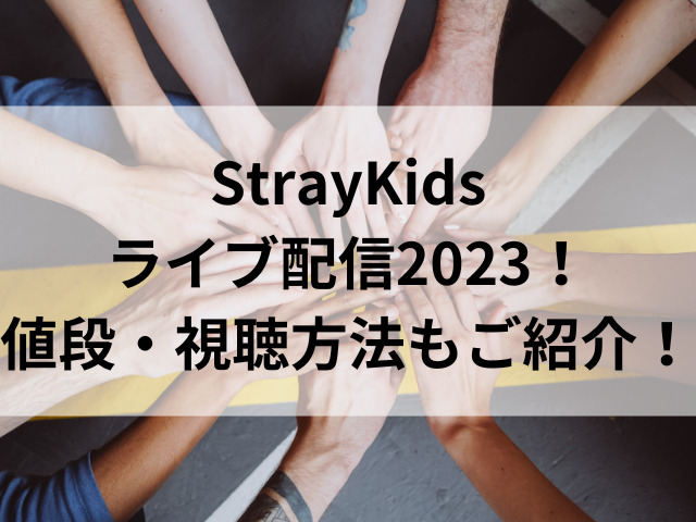 StrayKidsライブ配信2023！値段・視聴方法もご紹介！