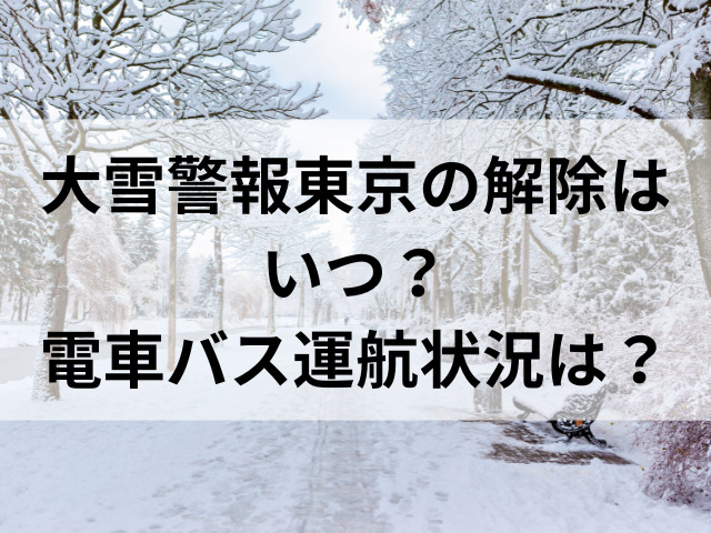 大雪警報東京の解除はいつ？電車バス運航状況は？
